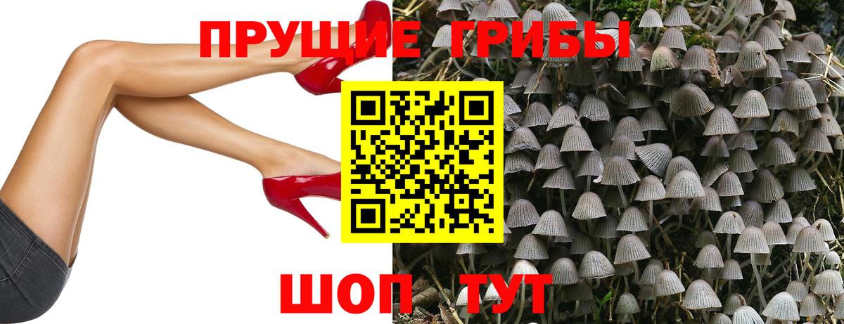 Псилоцибиновые грибы GOLDEN TEACHER Гусиноозёрск