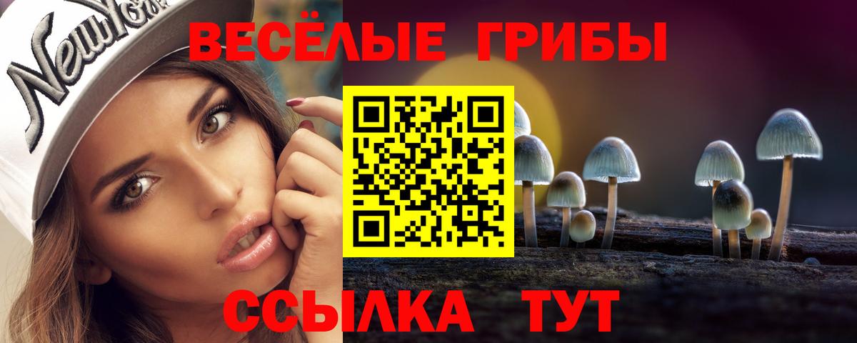 Гусиноозёрск  наркошоп  Вход с VPN  Галлюциногенные грибы Psilocybine cubensis  Псилоцибиновые грибы Cubensis 